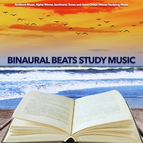 Study Alpha Waves cover art