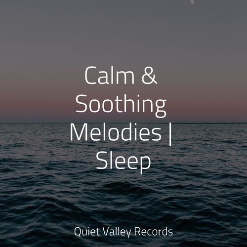 Focused, Relaxed cover art