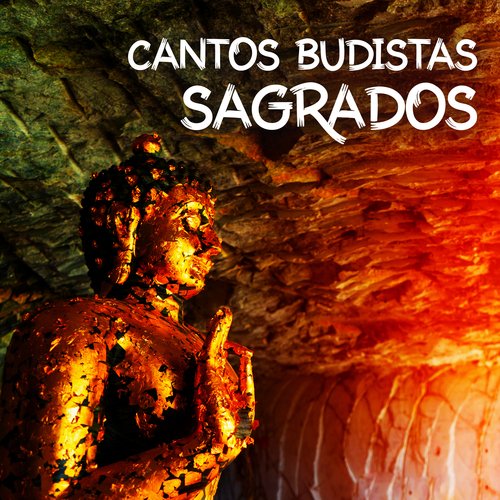 Meditación Budista cover art