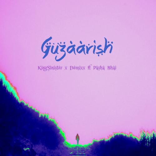 GUZAARISH (feat. Pasha Bhai)