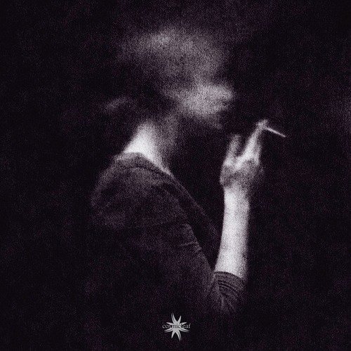 Void's Anatomy cover art