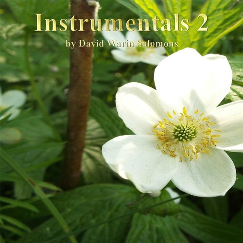 Antonelli Rag for Clarinet Quartet cover art