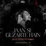 Jaan Se Guzarte Hain (Dil Pe Zakham Khate Hain)