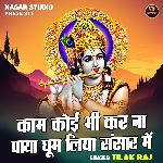Kam koi bhi kar na paya ghum liya sansar mein (Hindi)