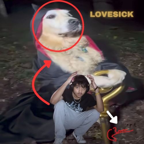 LOVESICK