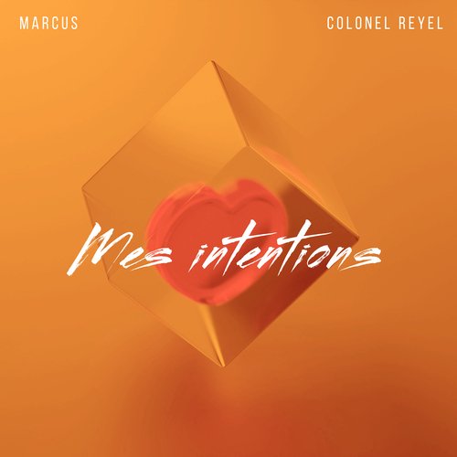 Mes intentions_poster_image