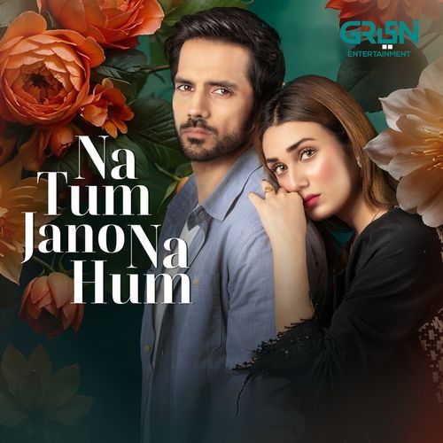 Na Tum Jano Na Hum (From "Na Tum Jano Na Hum")