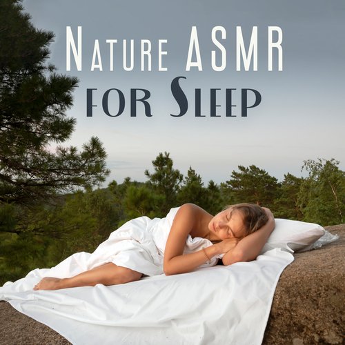 Nature ASMR for Sleep: Fall a Sleep Quickly, Calm Night with Nature_poster_image