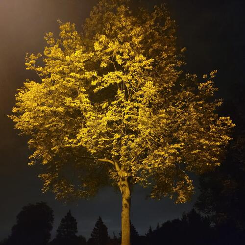 Nature's Beat cover art
