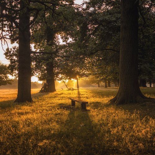 Park cover art