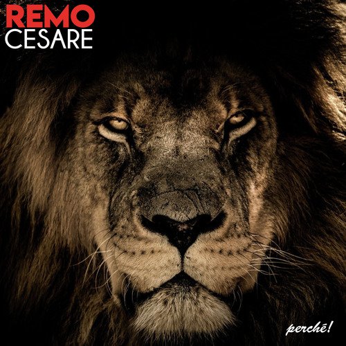 Perché cover art