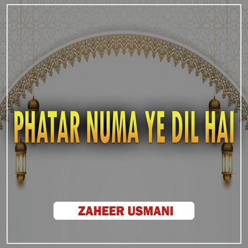 Phatar Numa Ye Dil Hai