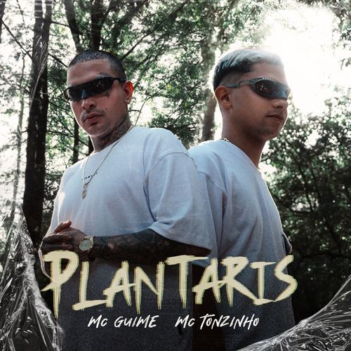 Plantaris