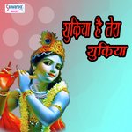 Shukriya Hai Tera Shukriya