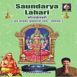 Soundarya Lahari - T. S. Ranganathan