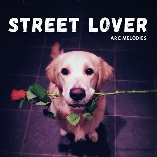 Street Lover
