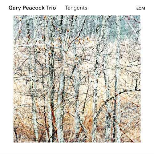 Tangents cover art