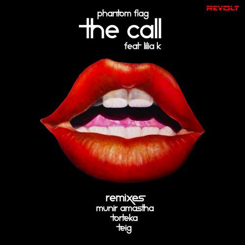 The Call (Torteka Remix) cover art