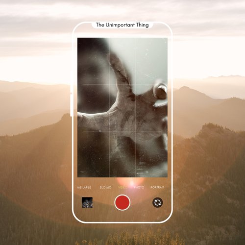 The Unimportant Thing cover art