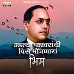 Udtya Pakharanchi Pise Mojnara Bhim