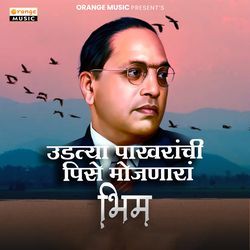 Udtya Pakharanchi Pise Mojnara Bhim