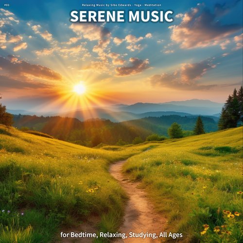 Pure Massage cover art