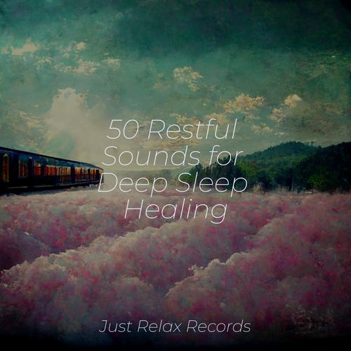 50 Restful Sounds for Deep Sleep Healing