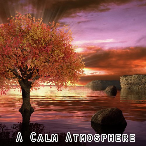 A Calm Atmosphere_poster_image