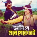 Ami Je More Jete Chai