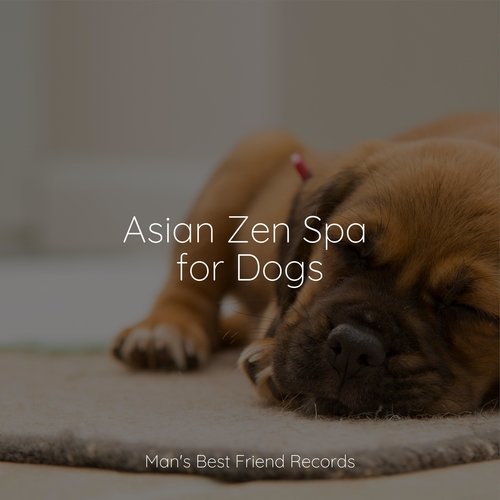 Meditating Music cover art