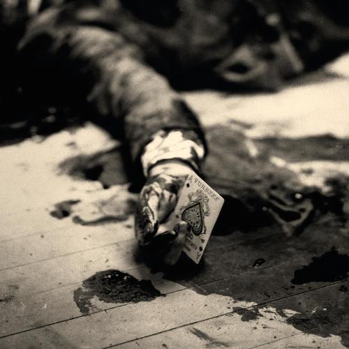 Dog Dreams cover art