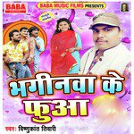 Bhaginwa Ke Fuwa - Single
