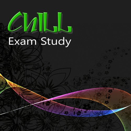 Exam Study Chillout