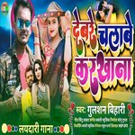 Devre Chalave Karkhana