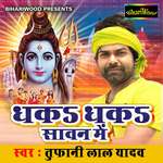 Badi Gun Bate Bholadani Mein