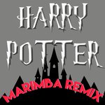 Harry Potter (Marimba Remix)