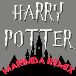 Harry Potter (Marimba Remix)