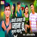 Kahe Hamara Ke Jan Tu Bhula Gailu