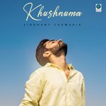 Khushnuma