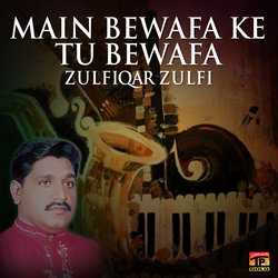 Zulfiqar Zulfi