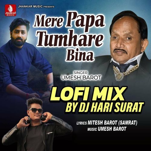 Mere Papa Tumhare Bina Lofi Mix