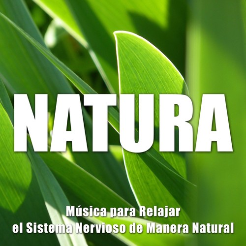 Lluvia Relajante cover art
