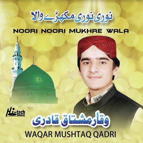 Waqar Mushtaq Qadri