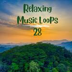 Relaxing Music Loops 28