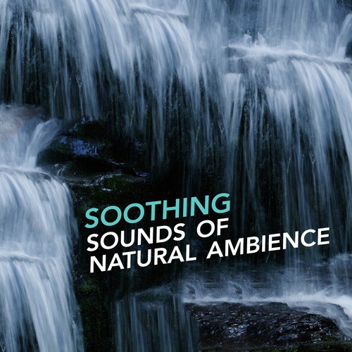Soothing Sounds of Natural Ambience