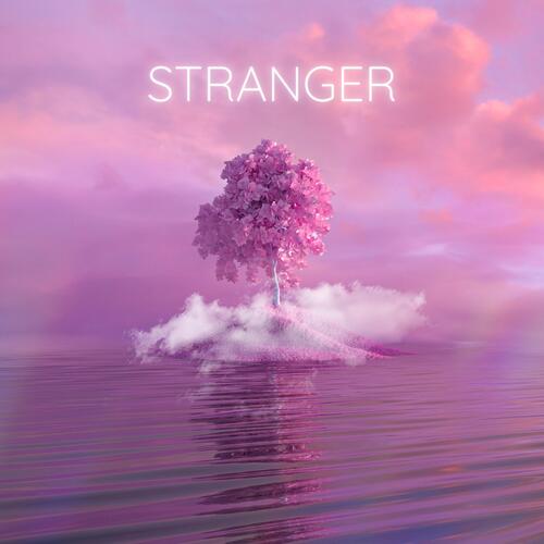 Stranger_poster_image