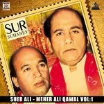 Sur Suhaney - Sher Ali & Mehr Ali Qawal Vol. 1