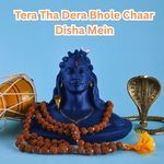 Tera tha Dera Bhole Chaar Disha Mein