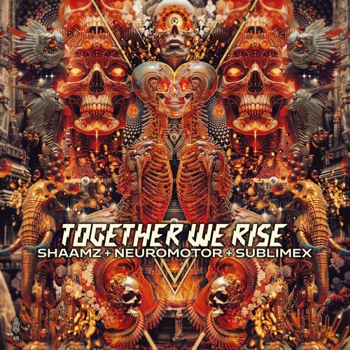 Together We Rise