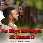 Tor Maya Ma Hogev Ek Saruva O